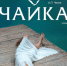 Чайка, Россошь - Rossoshru.Ru